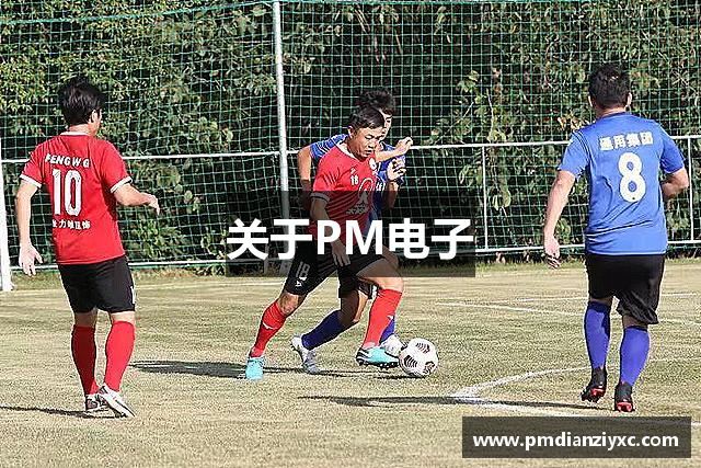 关于PM电子